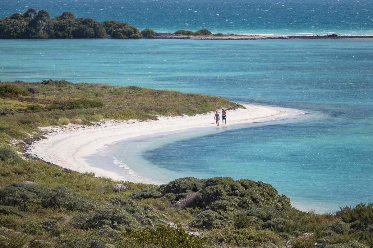 pareja caminando en la playa de dry tortugas